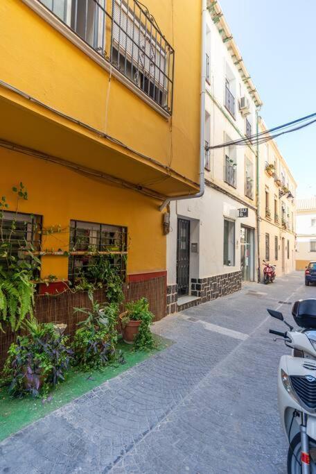 3 Bedroom Flat In Historic Centre Málaga Extérieur photo